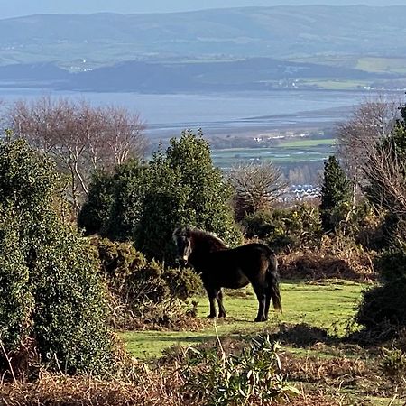 Exmoor Retreat On Two Moors Way Withypool Exteriér fotografie