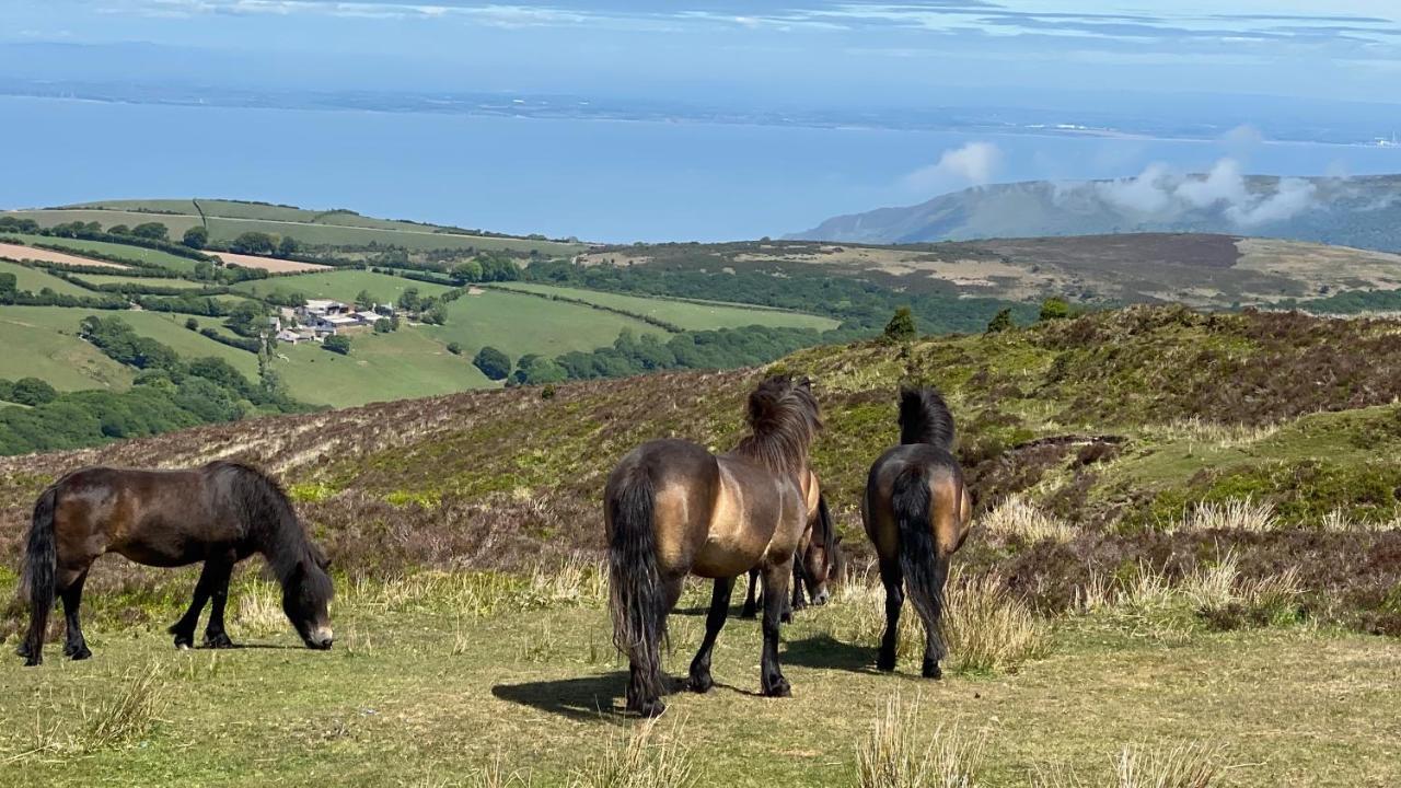 Exmoor Retreat On Two Moors Way Withypool Exteriér fotografie
