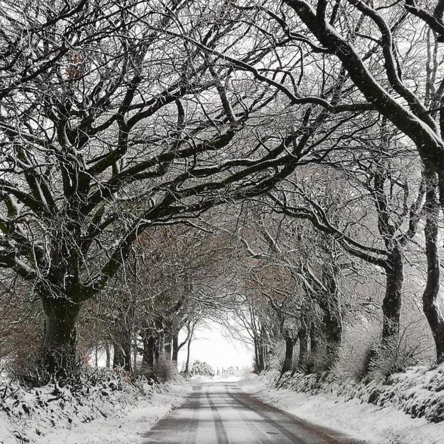 Exmoor Retreat On Two Moors Way Withypool Exteriér fotografie