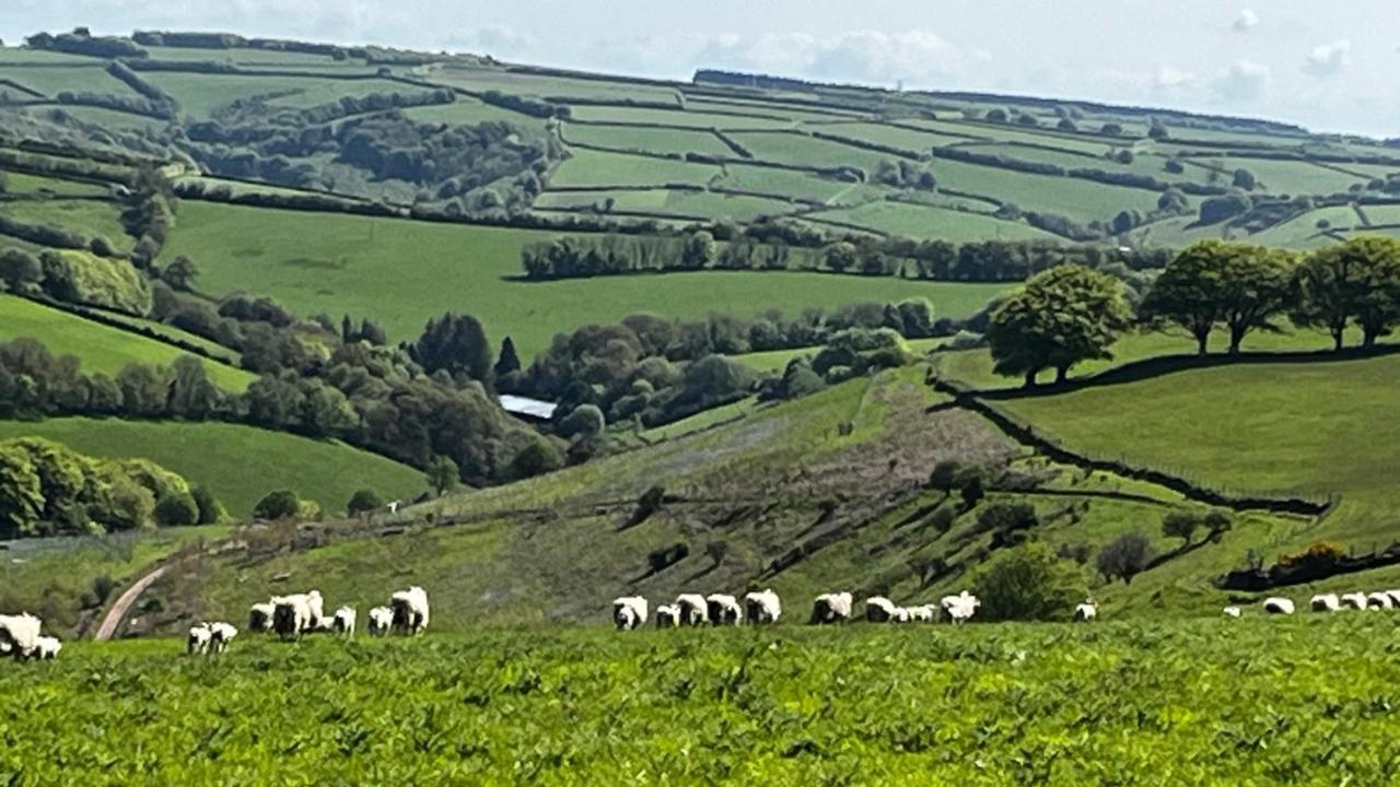 Exmoor Retreat On Two Moors Way Withypool Exteriér fotografie