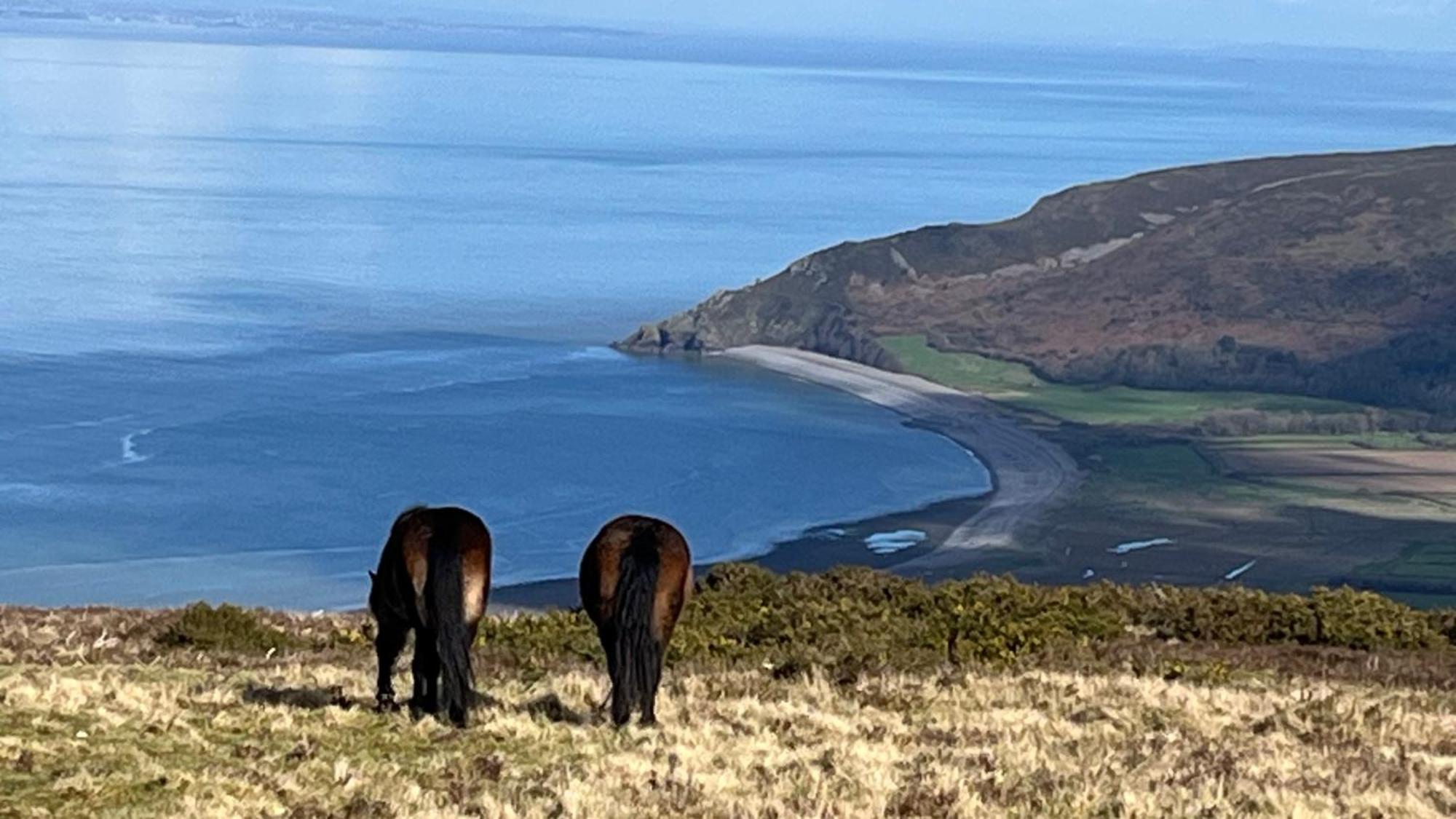 Exmoor Retreat On Two Moors Way Withypool Exteriér fotografie