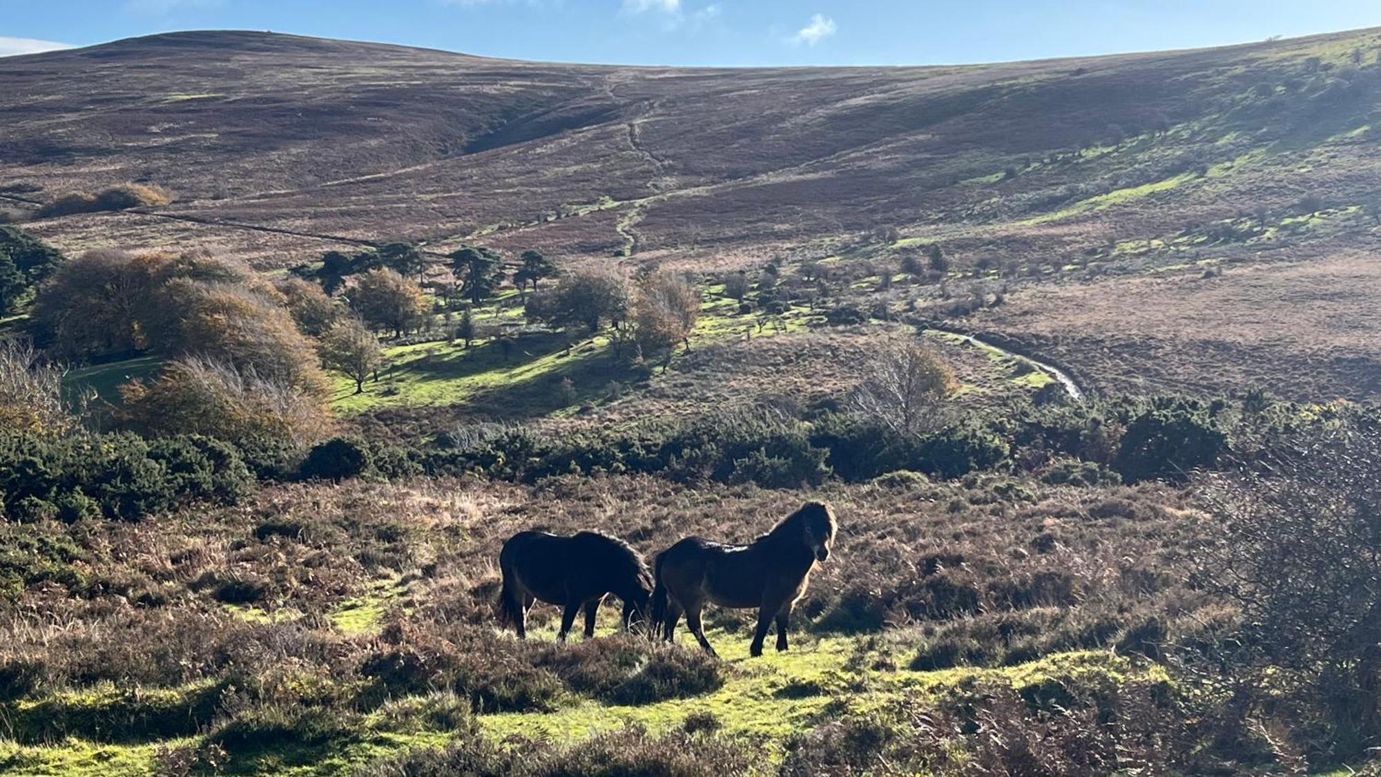 Exmoor Retreat On Two Moors Way Withypool Exteriér fotografie